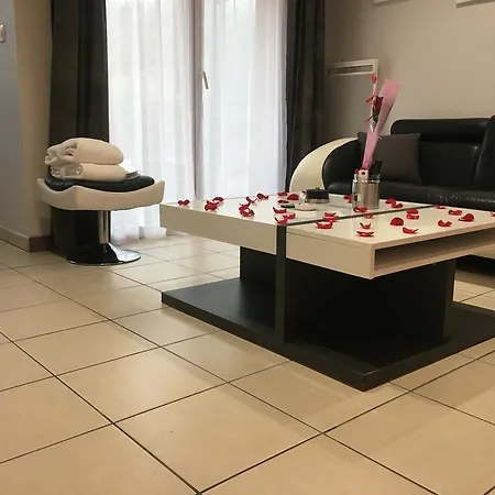 Appart&spa Apartment Toulouse